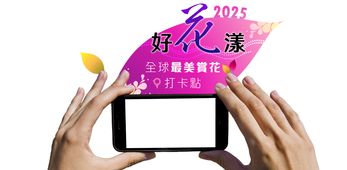 2025 好花漾